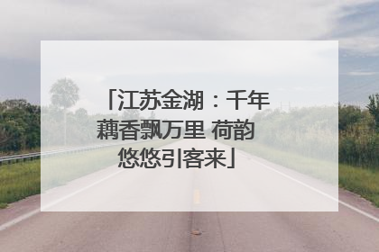 江苏金湖：千年藕香飘万里 荷韵悠悠引客来