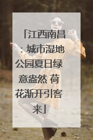 江西南昌：城市湿地公园夏日绿意盎然 荷花渐开引客来