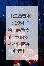 江西吉水：19村“鸽”鸣致富曲 奏响乡村产业振兴强音