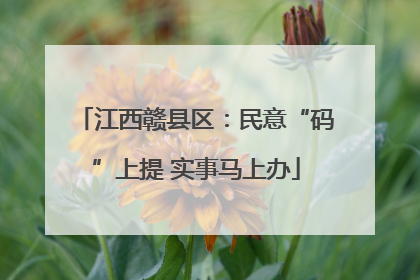 江西赣县区：民意“码”上提 实事马上办