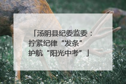 汤阴县纪委监委：拧紧纪律“发条” 护航“阳光中考”