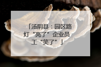汤阴县：园区路灯“亮了”企业员工“笑了”