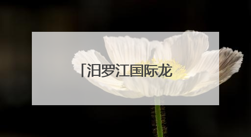汨罗江国际龙舟赛 长沙科技学院大放异彩
