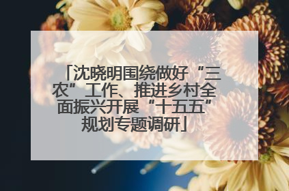沈晓明围绕做好“三农”工作、推进乡村全面振兴开展“十五五”规划专题调研