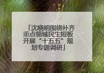 沈晓明围绕补齐重点领域民生短板开展“十五五”规划专题调研