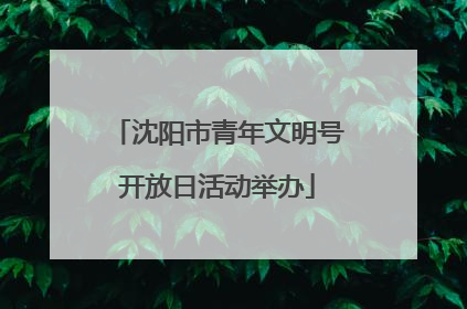 沈阳市青年文明号开放日活动举办