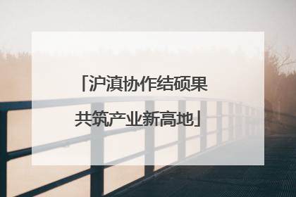 沪滇协作结硕果 共筑产业新高地