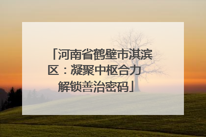 河南省鹤壁市淇滨区：凝聚中枢合力 解锁善治密码
