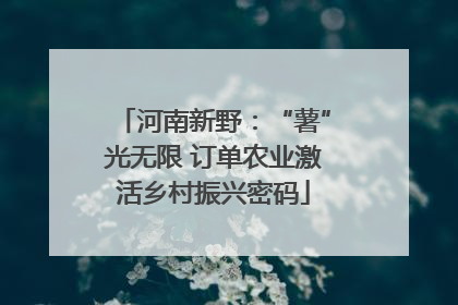 河南新野：“薯”光无限 订单农业激活乡村振兴密码