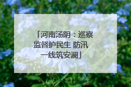 河南汤阴：巡察监督护民生 防汛一线筑安澜