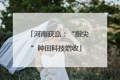 河南获嘉：“指尖”种田科技增收