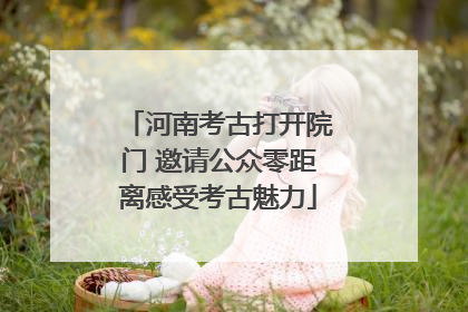 河南考古打开院门 邀请公众零距离感受考古魅力