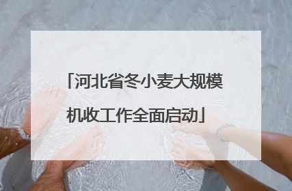 河北省冬小麦大规模机收工作全面启动