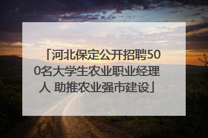 河北保定公开招聘500名大学生农业职业经理人 助推农业强市建设