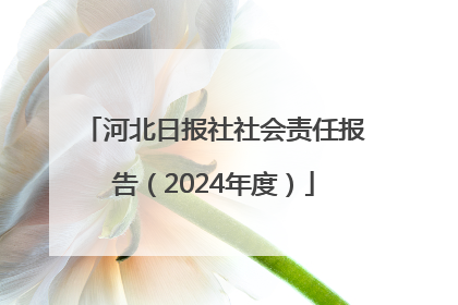 河北日报社社会责任报告（2024年度）