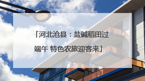 河北沧县：盐碱稻田过端午 特色农旅迎客来