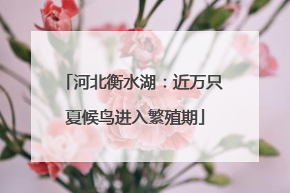 河北衡水湖：近万只夏候鸟进入繁殖期
