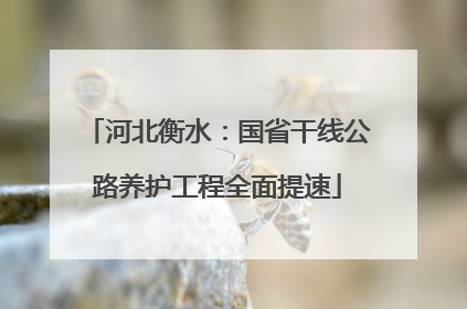 河北衡水：国省干线公路养护工程全面提速
