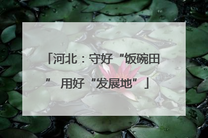 河北：守好“饭碗田” 用好“发展地”