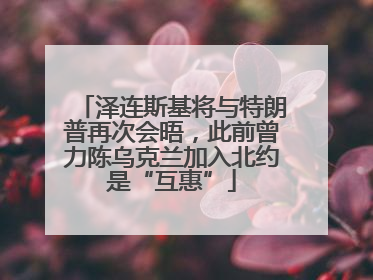 泽连斯基将与特朗普再次会晤，此前曾力陈乌克兰加入北约是“互惠”