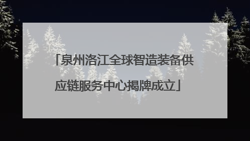 泉州洛江全球智造装备供应链服务中心揭牌成立