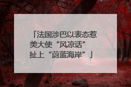 法国涉巴以表态惹美大使“风凉话” 扯上“蔚蓝海岸”