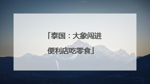 泰国：大象闯进便利店吃零食