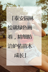 泰安园林绘就绿色画卷，精细防治护佑苗木成长
