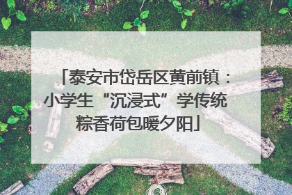 泰安市岱岳区黄前镇：小学生“沉浸式”学传统 粽香荷包暖夕阳
