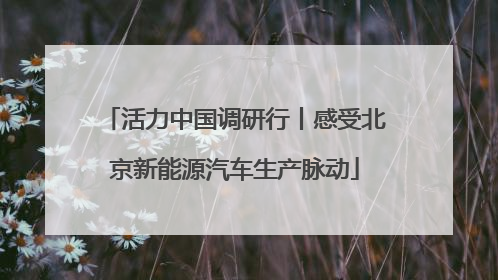 活力中国调研行丨感受北京新能源汽车生产脉动