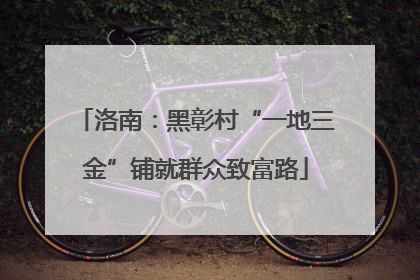 洛南：黑彰村“一地三金”铺就群众致富路
