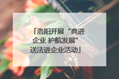 洛阳开展“典进企业 护航发展”送法进企业活动