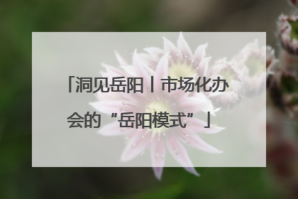 洞见岳阳丨市场化办会的“岳阳模式”