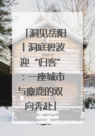 洞见岳阳丨洞庭碧波迎“归客”：一座城市与麋鹿的双向奔赴