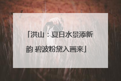 洪山：夏日水景添新韵 碧波粉黛入画来