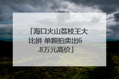 海口火山荔枝王大比拼 单颗拍卖出6.8万元高价