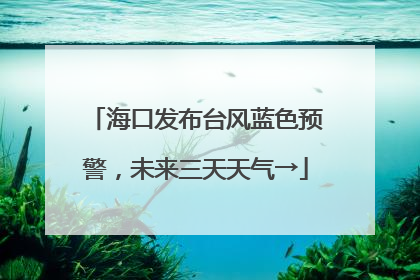 海口发布台风蓝色预警，未来三天天气→