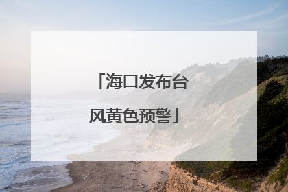 海口发布台风黄色预警