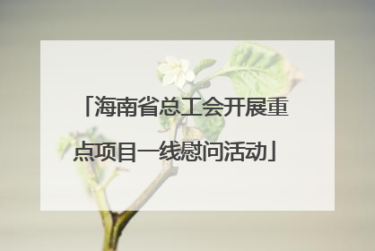 海南省总工会开展重点项目一线慰问活动