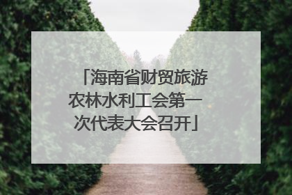 海南省财贸旅游农林水利工会第一次代表大会召开