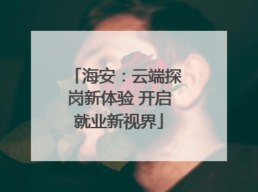海安：云端探岗新体验 开启就业新视界