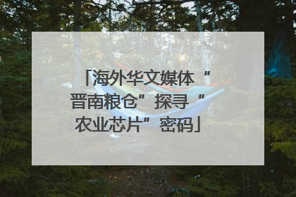 海外华文媒体“晋南粮仓”探寻“农业芯片”密码