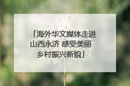 海外华文媒体走进山西永济 感受美丽乡村振兴新貌