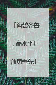 海岱齐鲁，高水平开放勇争先