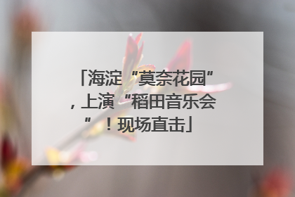 海淀“莫奈花园”，上演“稻田音乐会”！现场直击