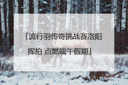 流行羽传奇挑战赛洛阳挥拍 点燃端午假期