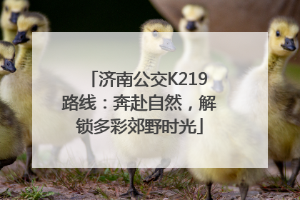 济南公交K219路线：奔赴自然，解锁多彩郊野时光