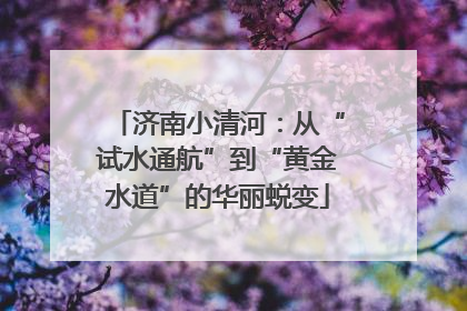 济南小清河：从“试水通航”到“黄金水道”的华丽蜕变