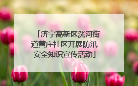 济宁高新区洸河街道黄庄社区开展防汛安全知识宣传活动