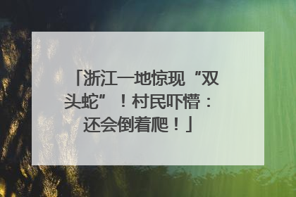 浙江一地惊现“双头蛇”！村民吓懵：还会倒着爬！